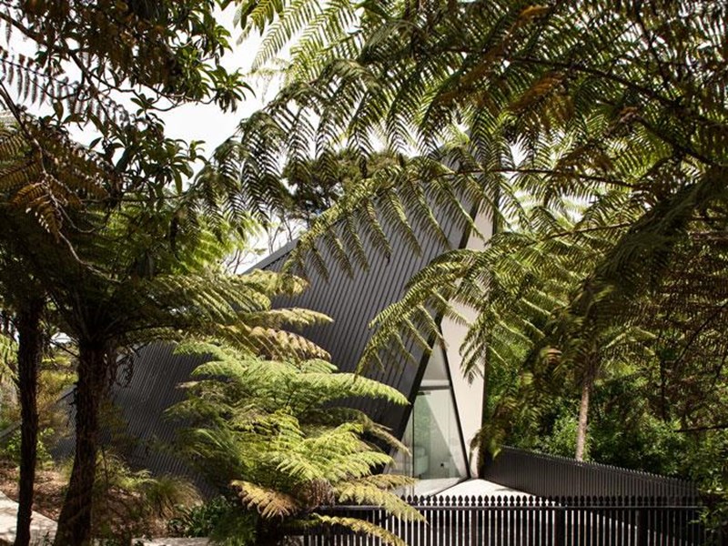 More on this project